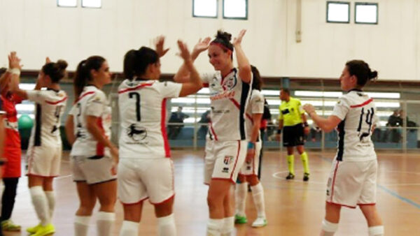 torres i bassotti a2
