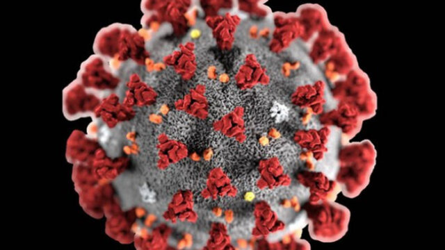 Emergenza coronavirus: sospensione totale in Piemonte fino al 29 febbraio