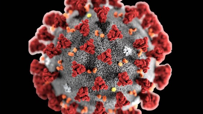 coronavirus