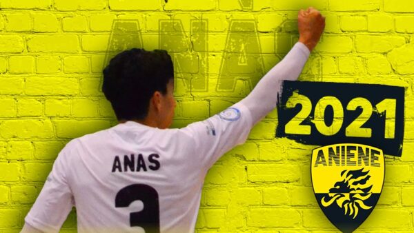 anas cybertel aniene