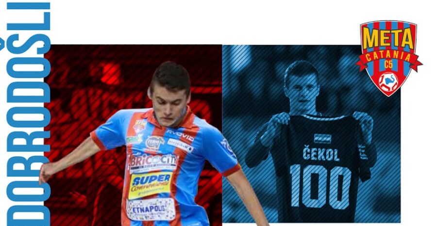 cekol meta