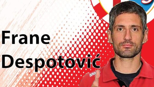 despotovic mantova