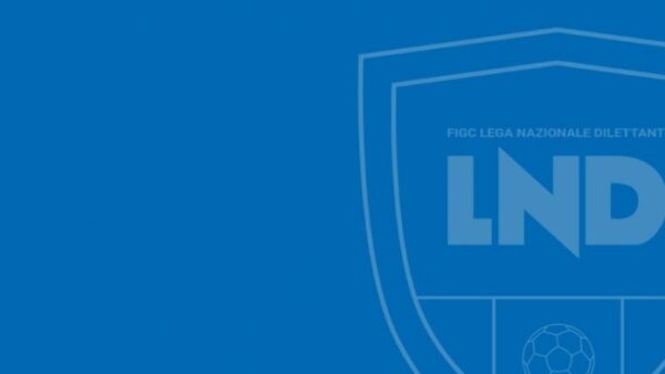lnd comitati area nord