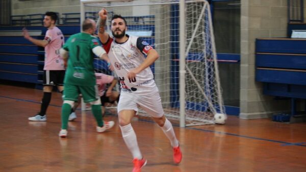 1porce (1)