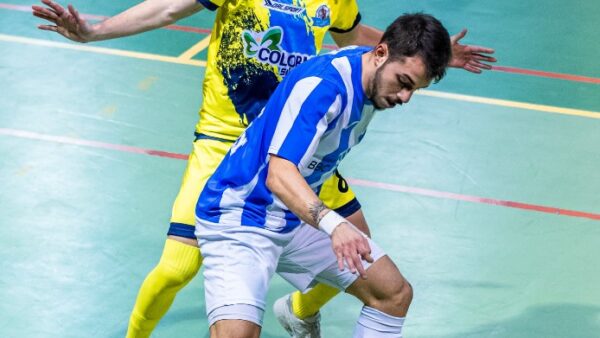 11molaro