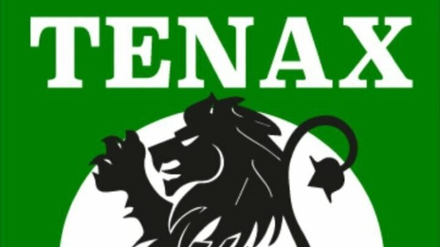 Tenax Castefidardo in crisi: esonerato Vitalino