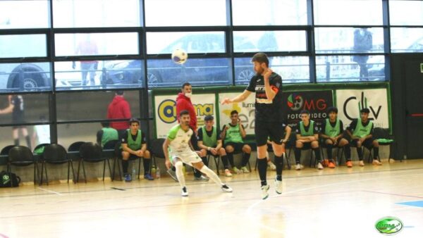 1cele (1)