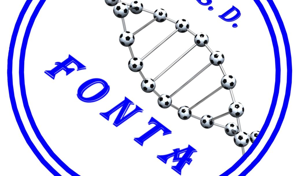 fonta futsal