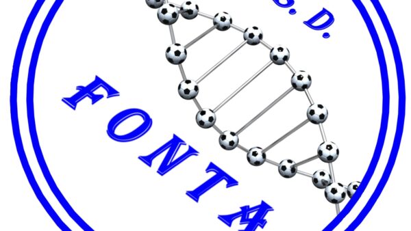 fonta futsal