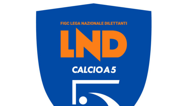 Divisione Calcio a