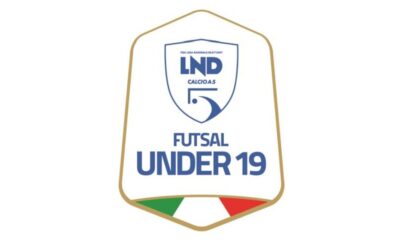 Logo u19