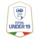 Logo u19