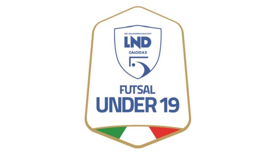 Logo u19
