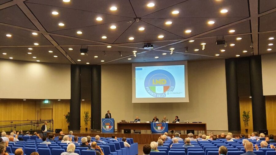 L'assemblea
