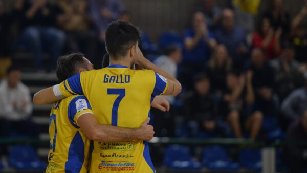 Gallo Elledì