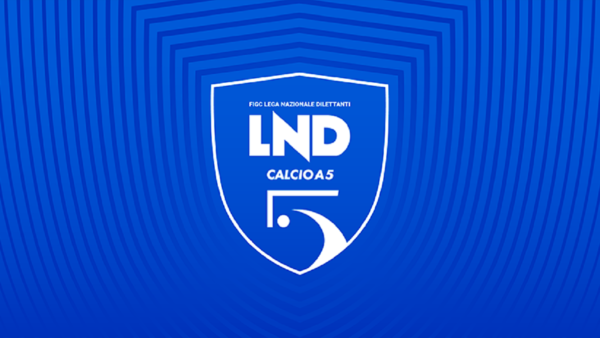 Lnd divisione