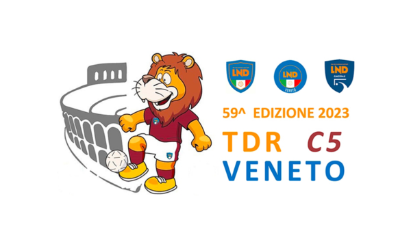 Tdr