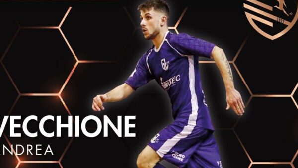 Vecchione