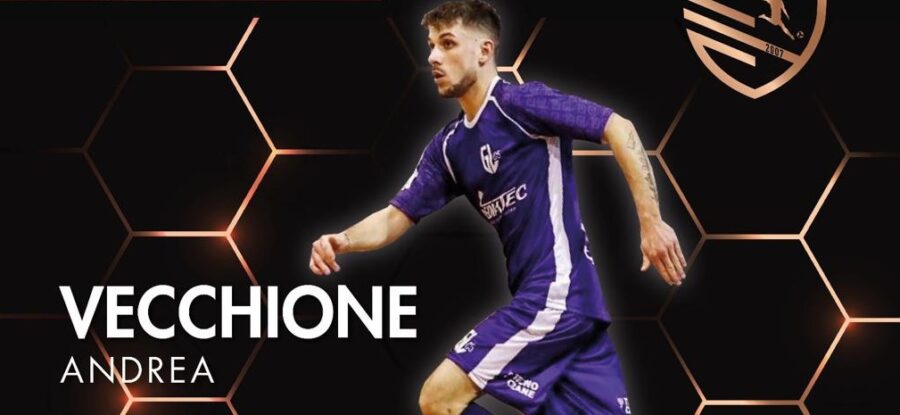 Vecchione