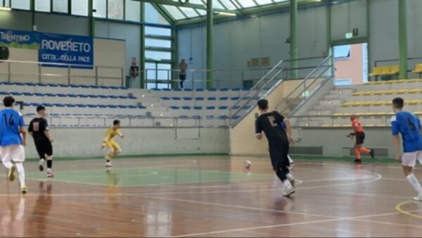 Cdd vs petrarca