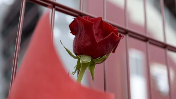 Fiore