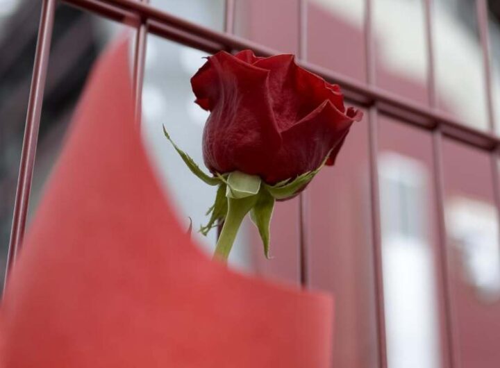 Fiore