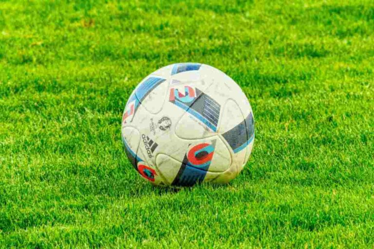 Un pallone da calcio