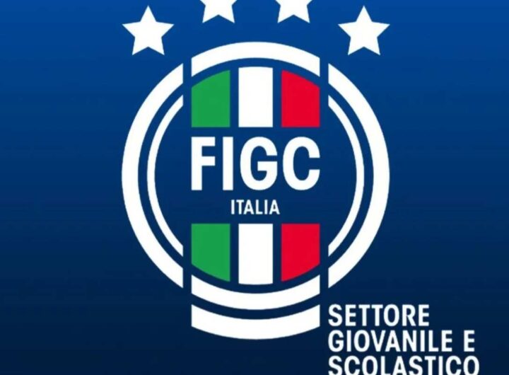 Stemma FIGC
