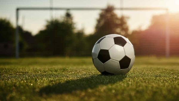 Pallone da calcio