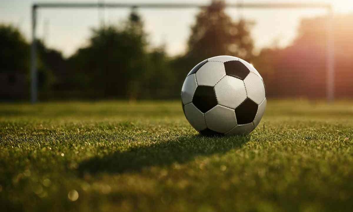 Pallone da calcio