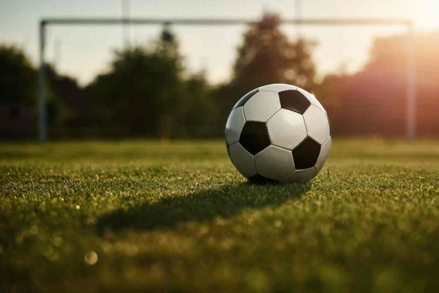 Pallone da calcio
