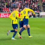 Giocatori del Fenerbahce esultano dopo un gol