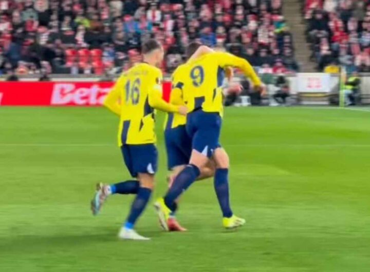 Giocatori del Fenerbahce esultano dopo un gol