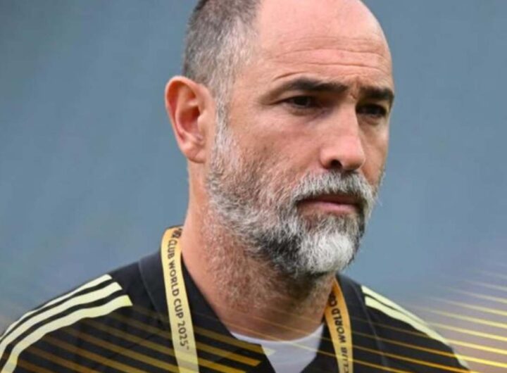 igor tudor